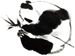 国画熊猫的绘画技法
