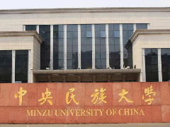 2020年中央民族大学美术录取分数线(北京